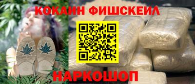 индика Моздок