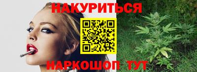 индика Моздок