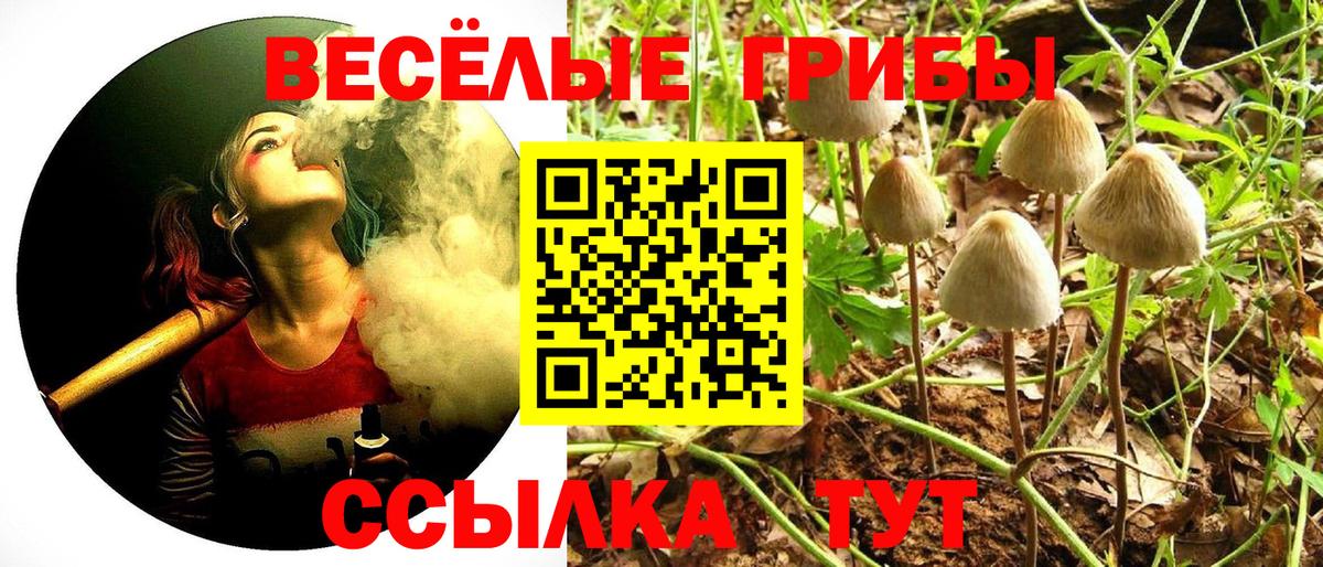 Псилоцибиновые грибы Psilocybine cubensis  цены   Вход с VPN  Сыктывкар  Галлюциногенные грибы GOLDEN TEACHER 
